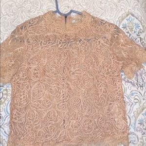 Pink Zara embroidered lace top
